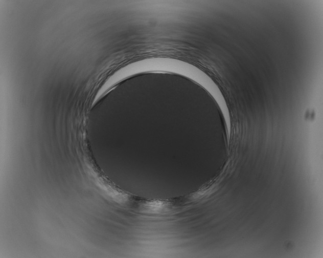 X0000111440237200907131313
