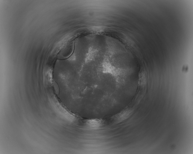 X0000111440238200907131313