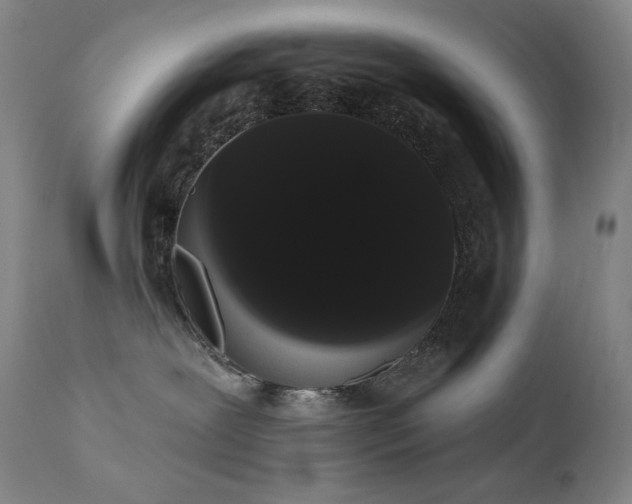 X0000111440239200907131313