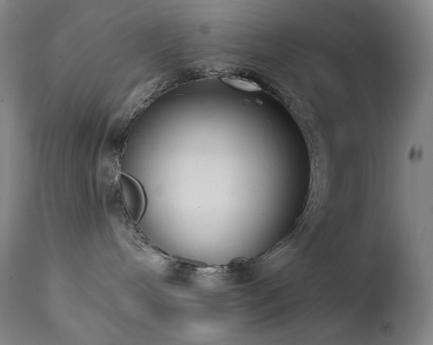 X0000111440240200907131313