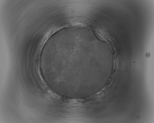 X0000111440241200907131312
