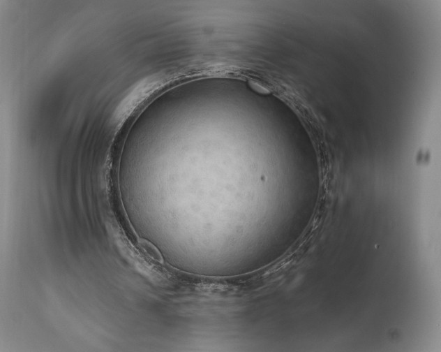 X0000111440242200907131312