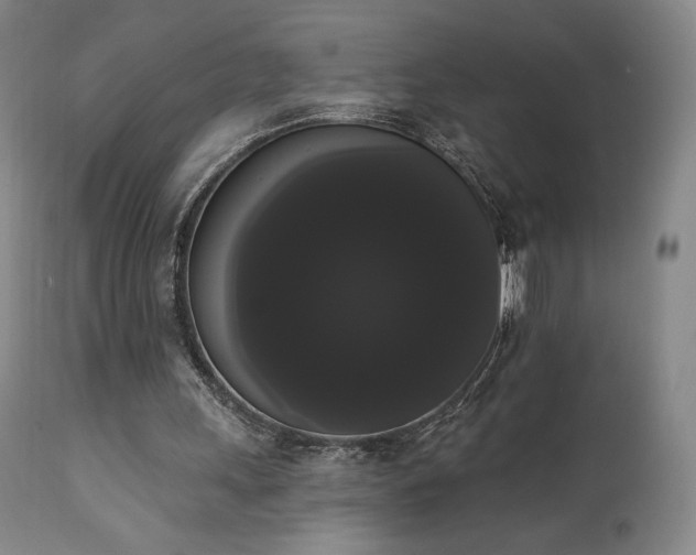 X0000111440243200907131312