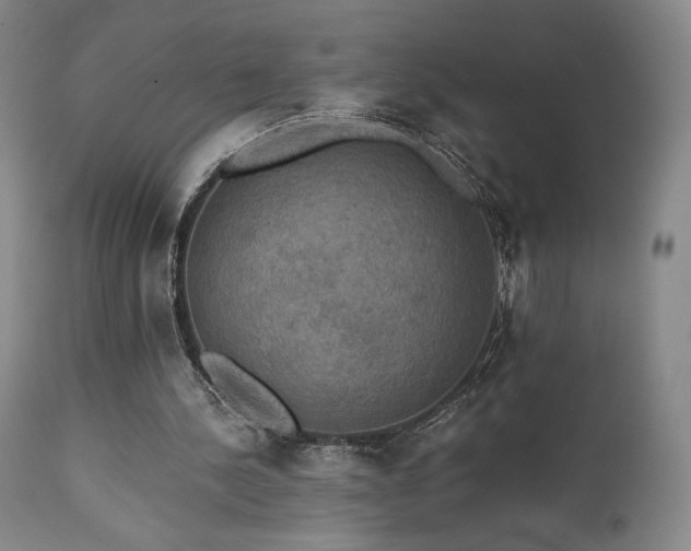 X0000111440244200907131312