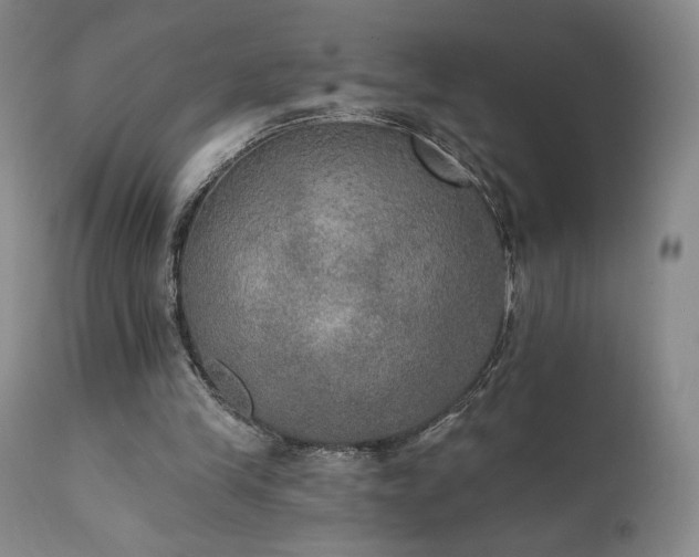 X0000111440245200907131312
