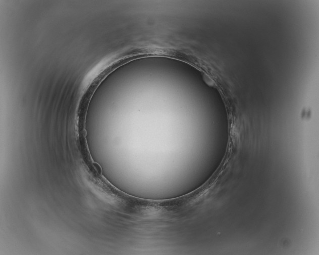 X0000111440246200907131312