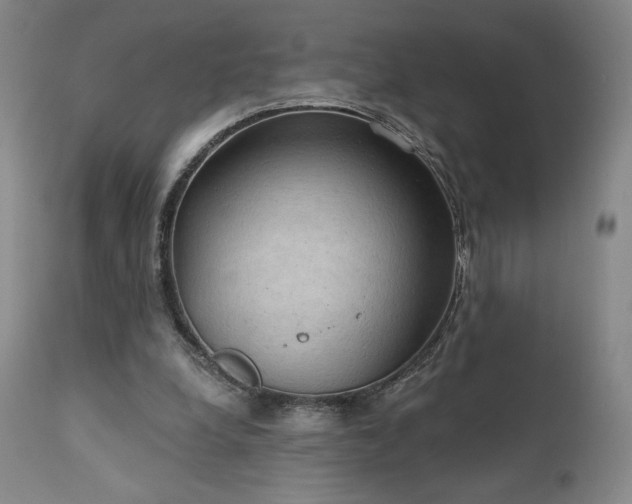 X0000111440248200907131312