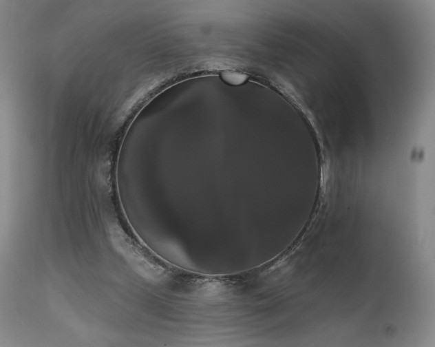 X0000111440249200907131312