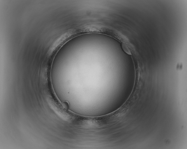 X0000111440250200907131312