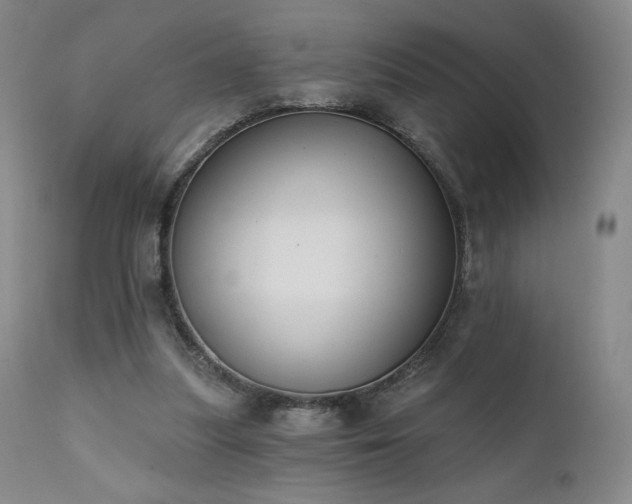 X0000111440251200907131312