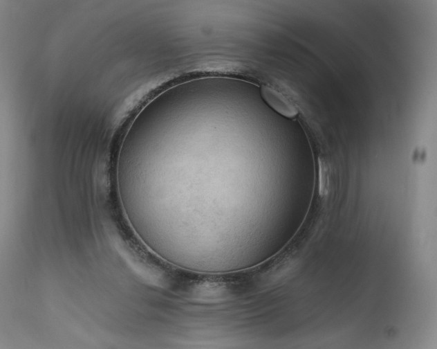 X0000111440252200907131312