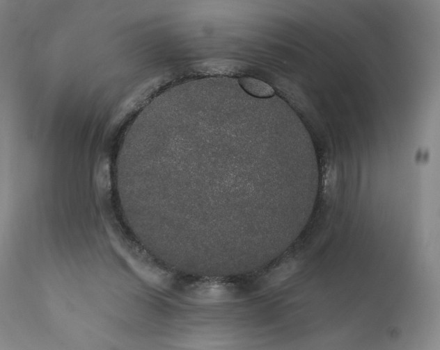 X0000111440254200907131312