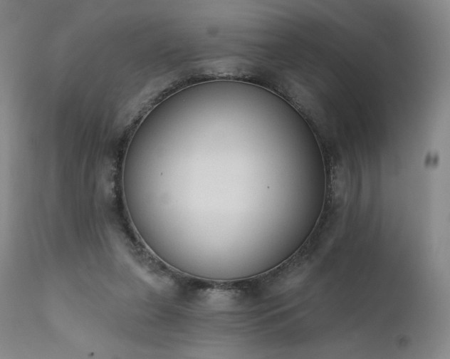 X0000111440255200907131312