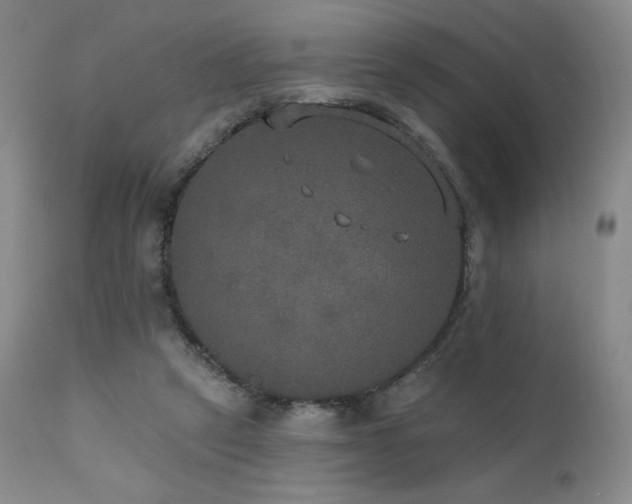 X0000111440257200907131312