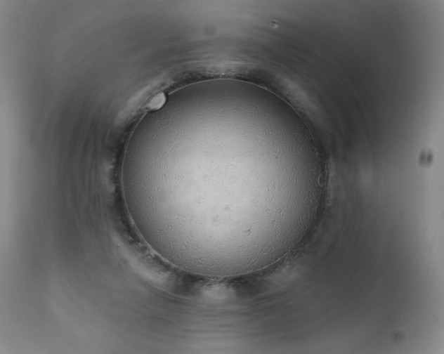 X0000111440258200907131312