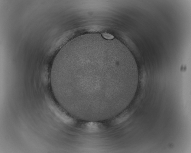 X0000111440261200907131312