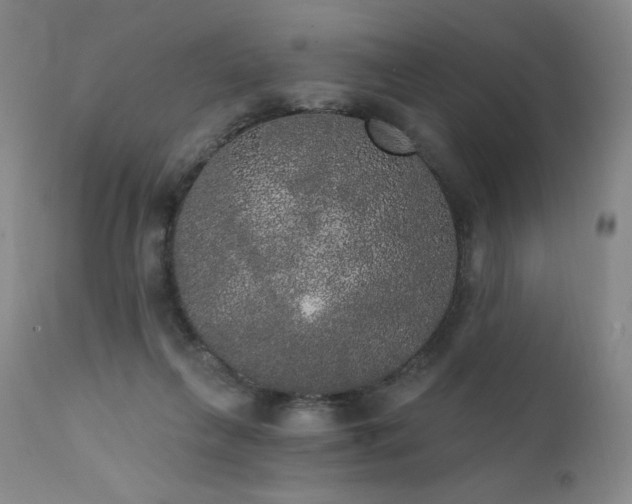X0000111440263200907131312