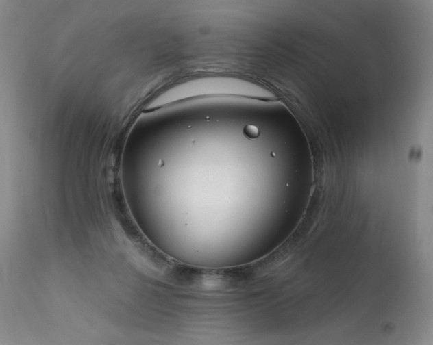 X0000111440264200907131312