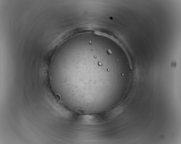 X0000111440265200907131312