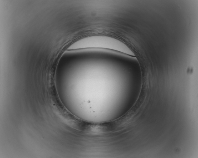 X0000111440268200907131312