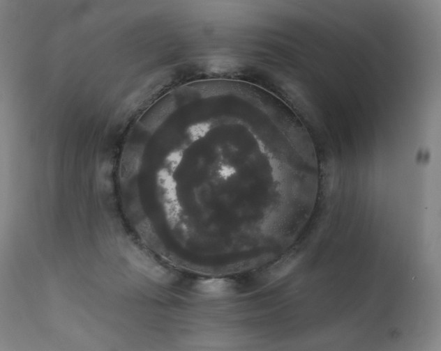X0000111440269200907131312