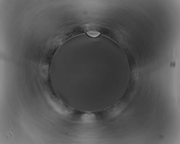 X0000111440271200907131313