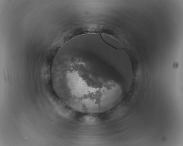 X0000111440272200907131313