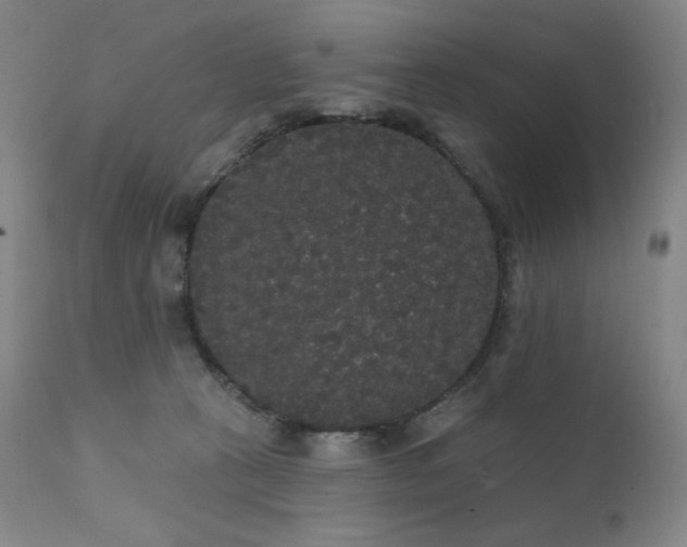 X0000111440273200907131313