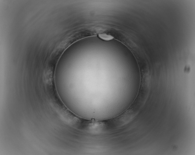 X0000111440274200907131313