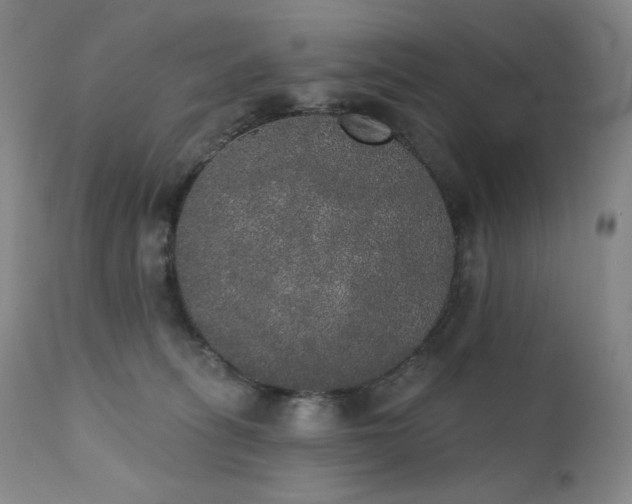 X0000111440275200907131313