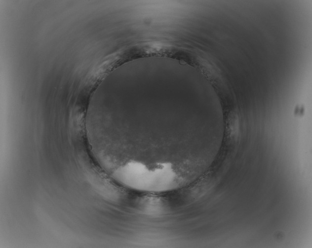 X0000111440276200907131313