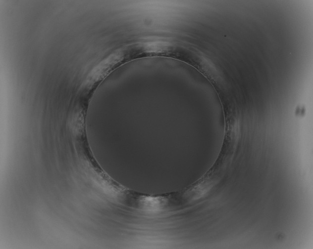 X0000111440277200907131313