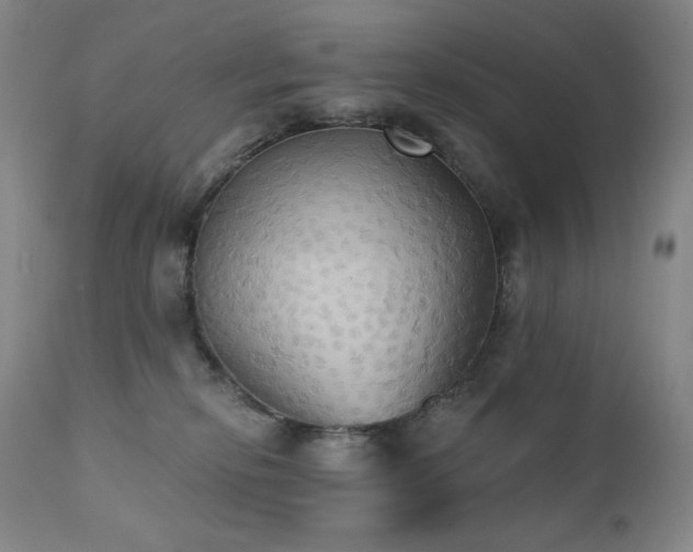 X0000111440278200907131313