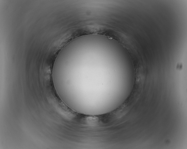X0000111440279200907131313
