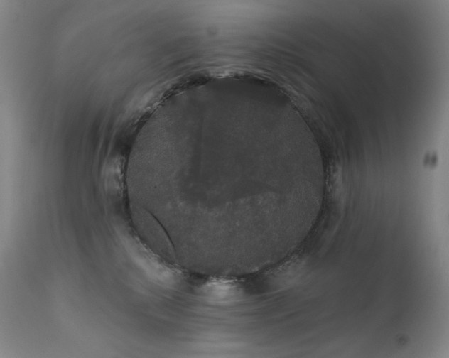 X0000111440280200907131313