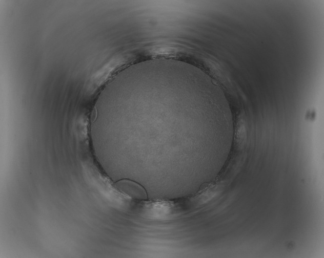 X0000111440282200907131313