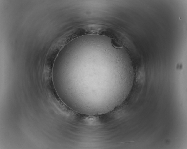 X0000111440283200907131313