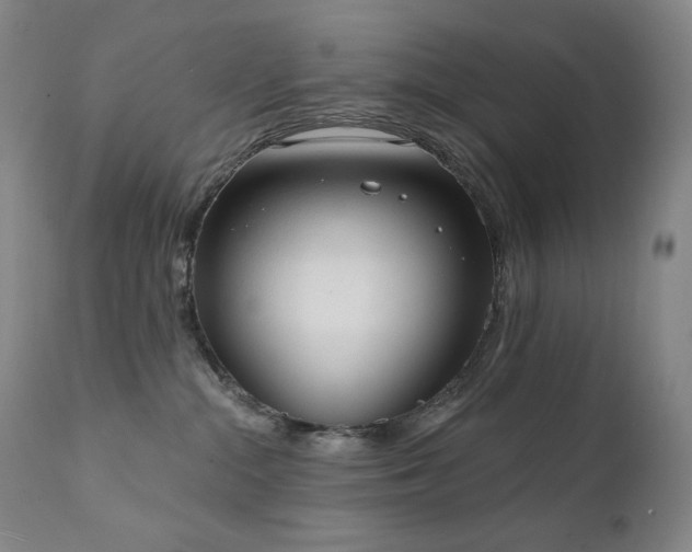 X0000111440284200907131313