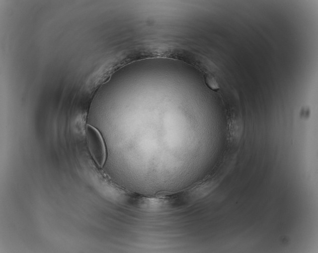 X0000111440286200907131313