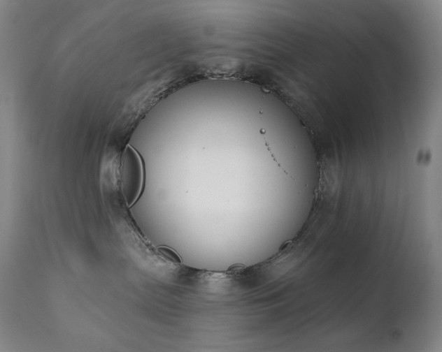 X0000111440287200907131313