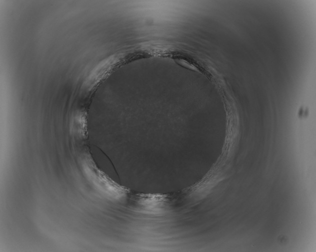 X0000111440288200907131313