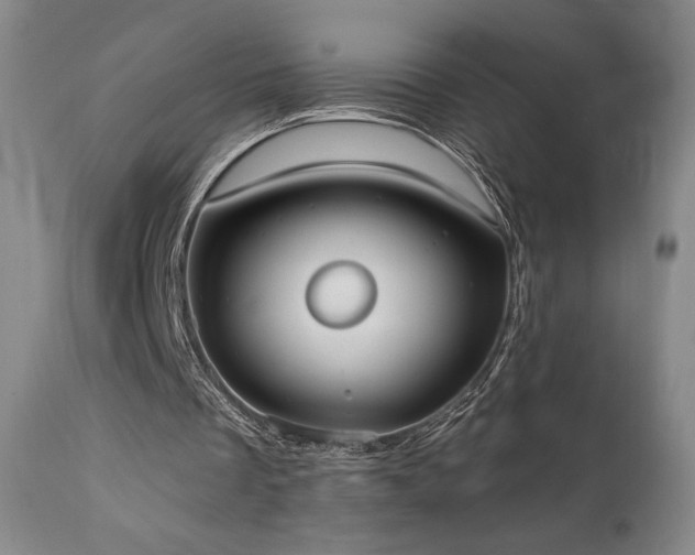 X0000111440289200907131312
