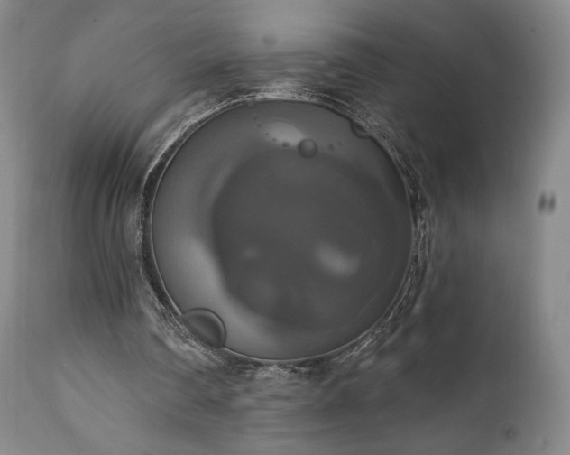 X0000111440290200907131312