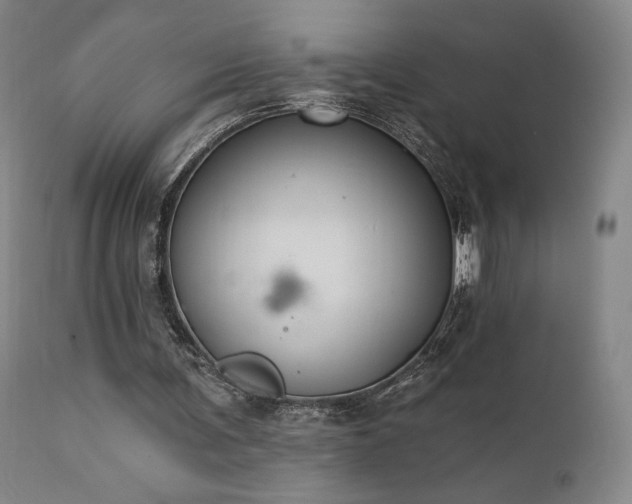 X0000111440291200907131312