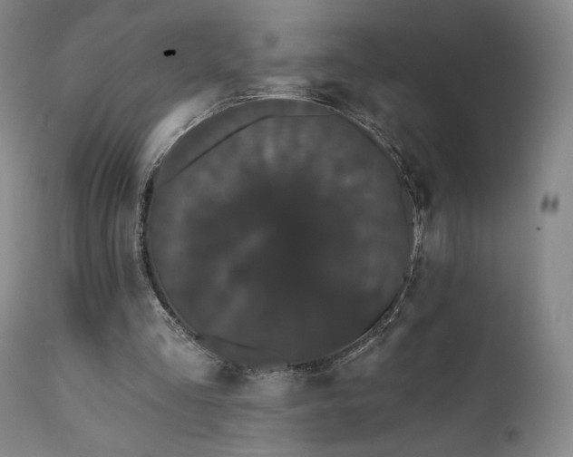 X0000111440293200907131312
