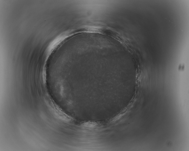 X0000111440294200907131312