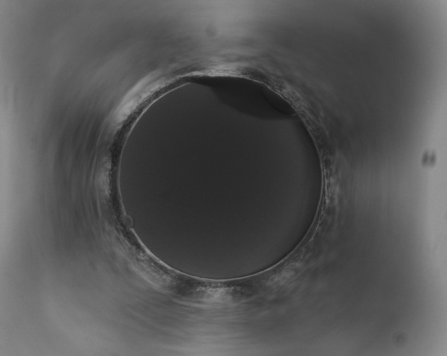 X0000111440295200907131312