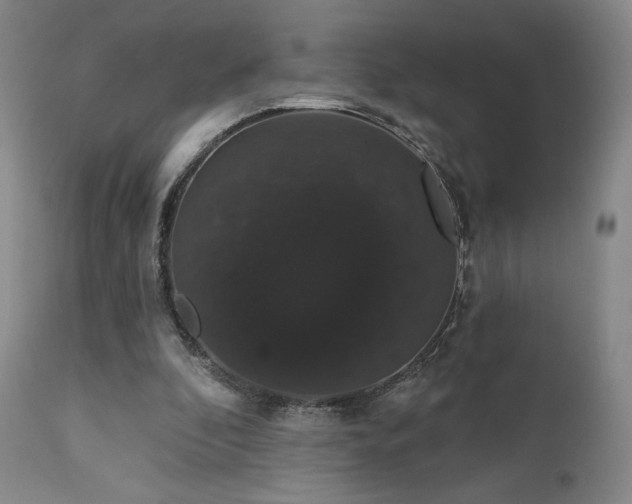 X0000111440296200907131312