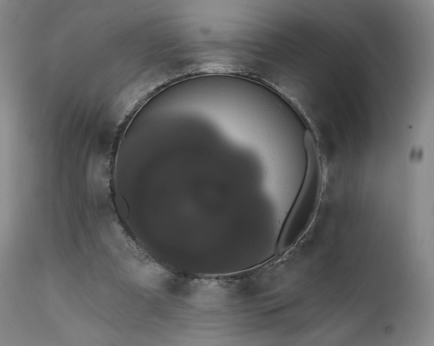 X0000111440297200907131312