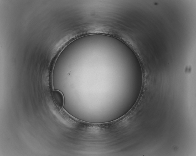 X0000111440298200907131312